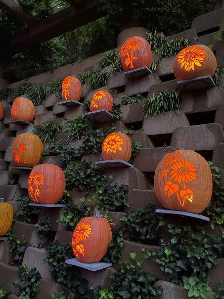 Sunflower luminary wall at night