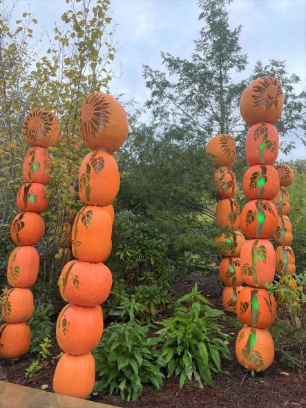 Sunflower pumpkin stack