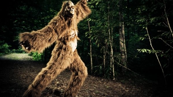 Bigfoot Disco Dancing in forest