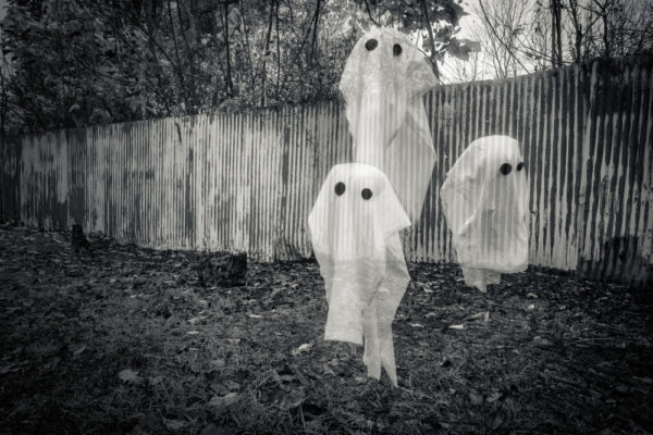 Three ghosts in a backyard by a fence