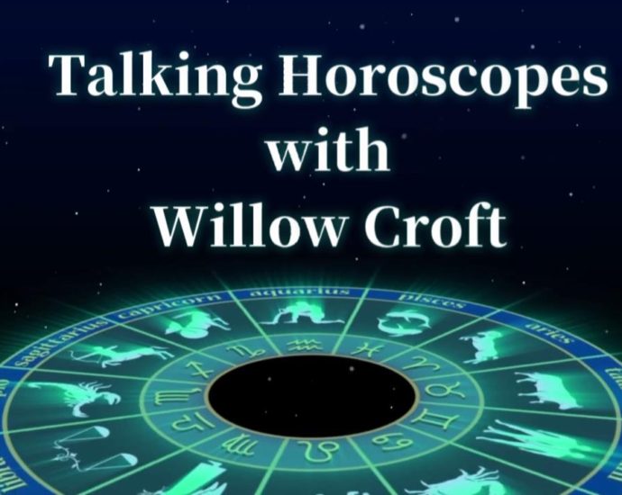 Willow Croft interview cover