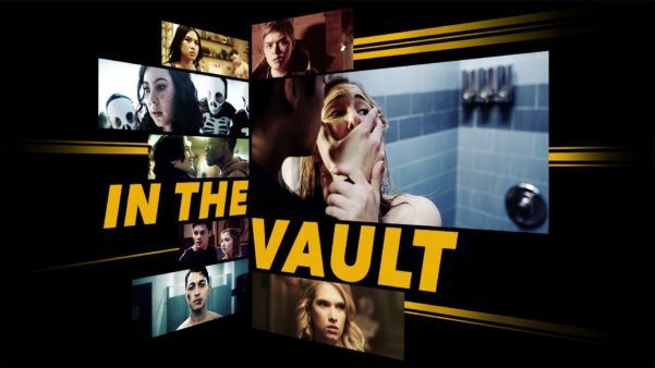 In the Vault poster