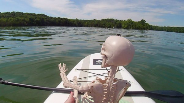 Smalls Skeleton looking for the Nashville Mermaid on his first Expedition Mermaid using the SUP.