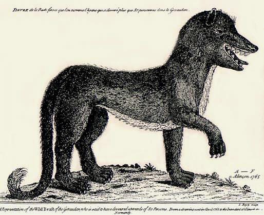 Engraving rendering of the Beast of Gevaudan
