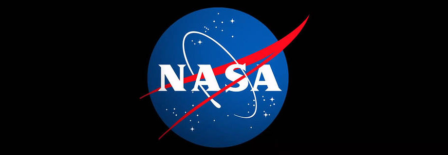 NASA Meatball logo large