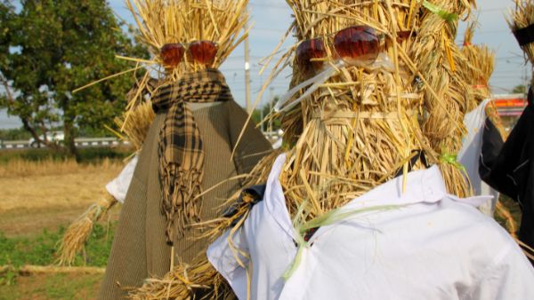 Scarecrow with Sunglasses