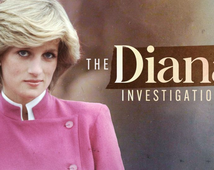 The Diana Investigations poster
