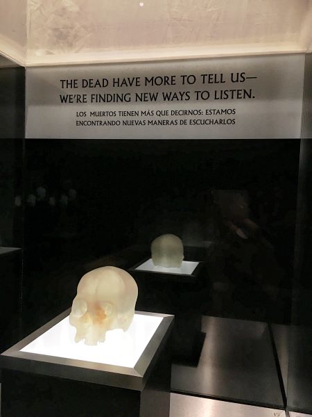 A crystal skull at Chicago's Field Museum