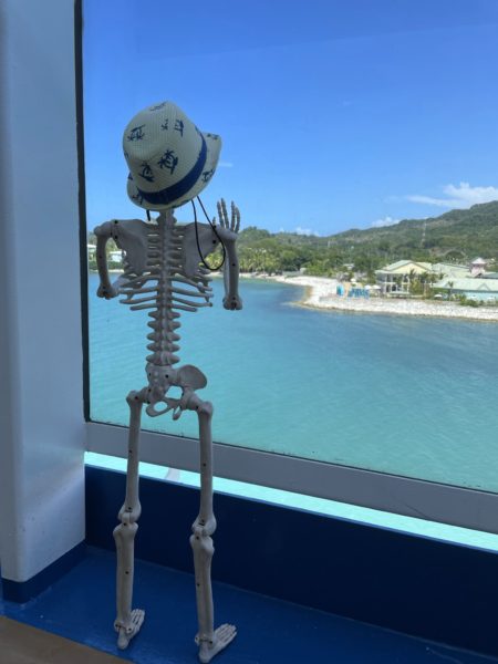 Smalls Skeleton looking out at shore from aboard Carnival Horizon