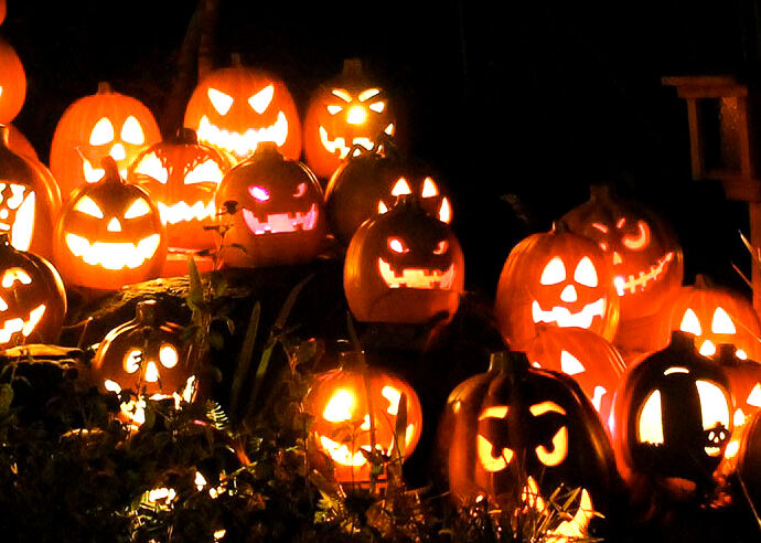 Row of glowing pumpkins at Magic of the Jack O'Lanterns