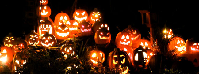 Row of glowing pumpkins at Magic of the Jack O'Lanterns