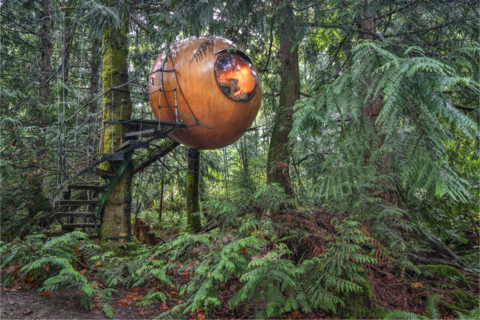 RARE Treehouse Resorts' existing installation in Vancouver Island