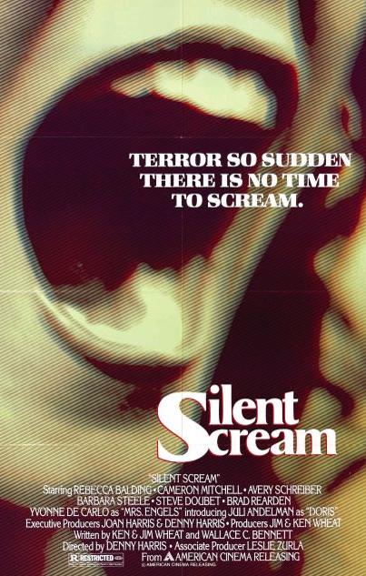 Silent Scream poster