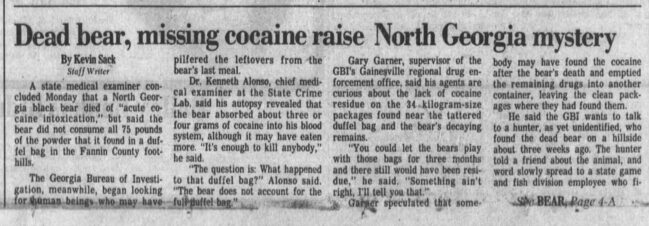 1985 Atlanta Constitution newspaper clipping about the dead bear found with cocaine mystery