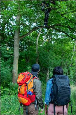 Two hikers in Urban Legend series find body of a scuba diver in a tree.