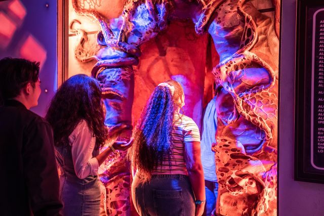 Heading into the Upside Down at Stranger Things: The Experience