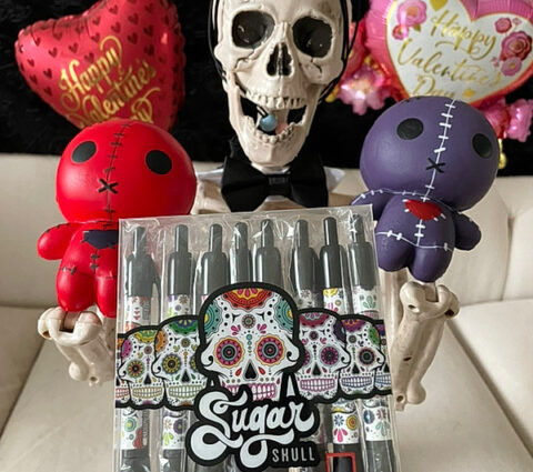 Smalls skeleton in top hat and bowtie with red and purp0le voodoo dolls and sugar skull pens for Valloween 2023