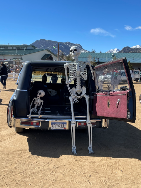A decorated hearse at Frozen Dead Guy Days festival with a baby alien skeleton and human-sized skeleton.