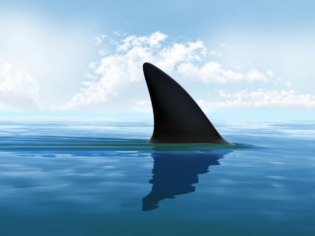 Shark Fin for Shark Movies